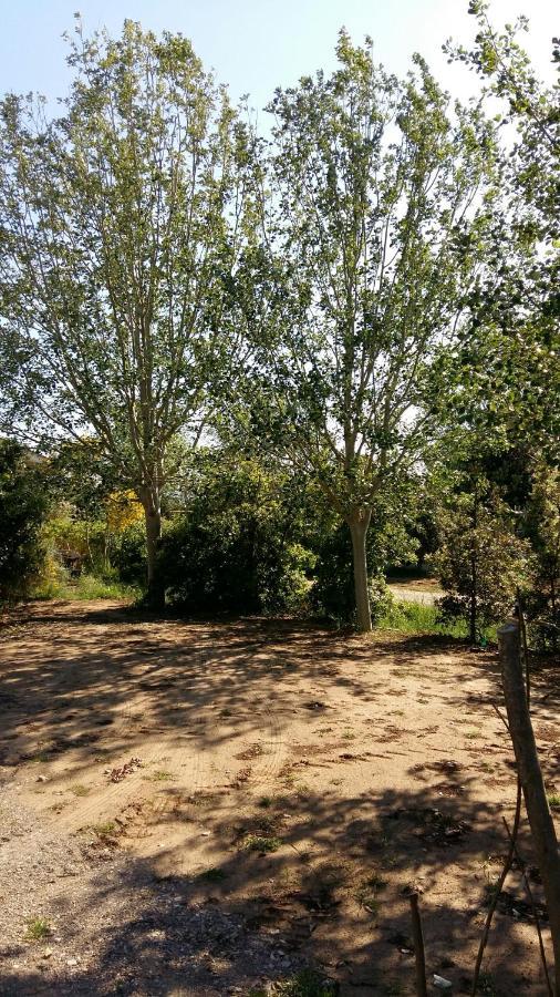 Bnatural Glamping Naturista/Nudista Baratti Exterior foto