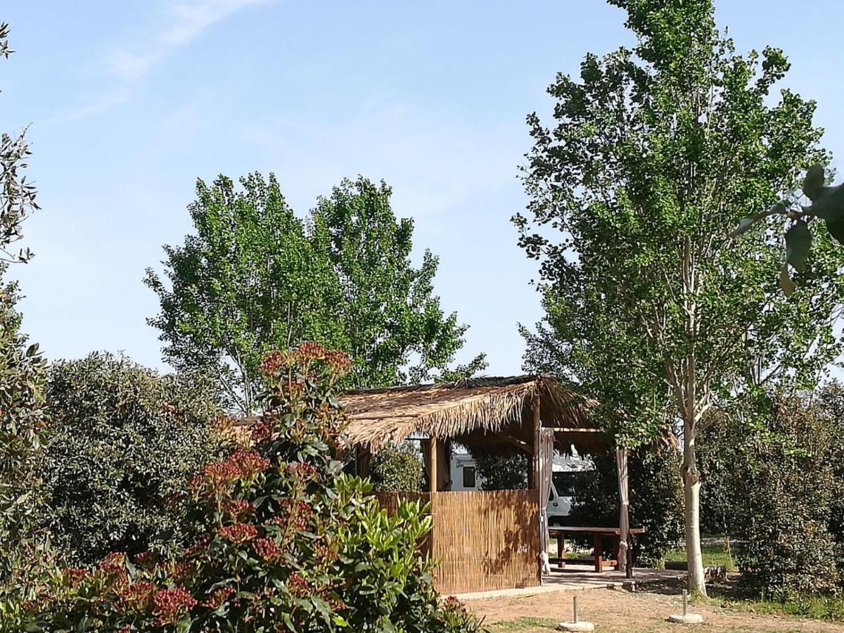 Bnatural Glamping Naturista/Nudista Baratti Exterior foto