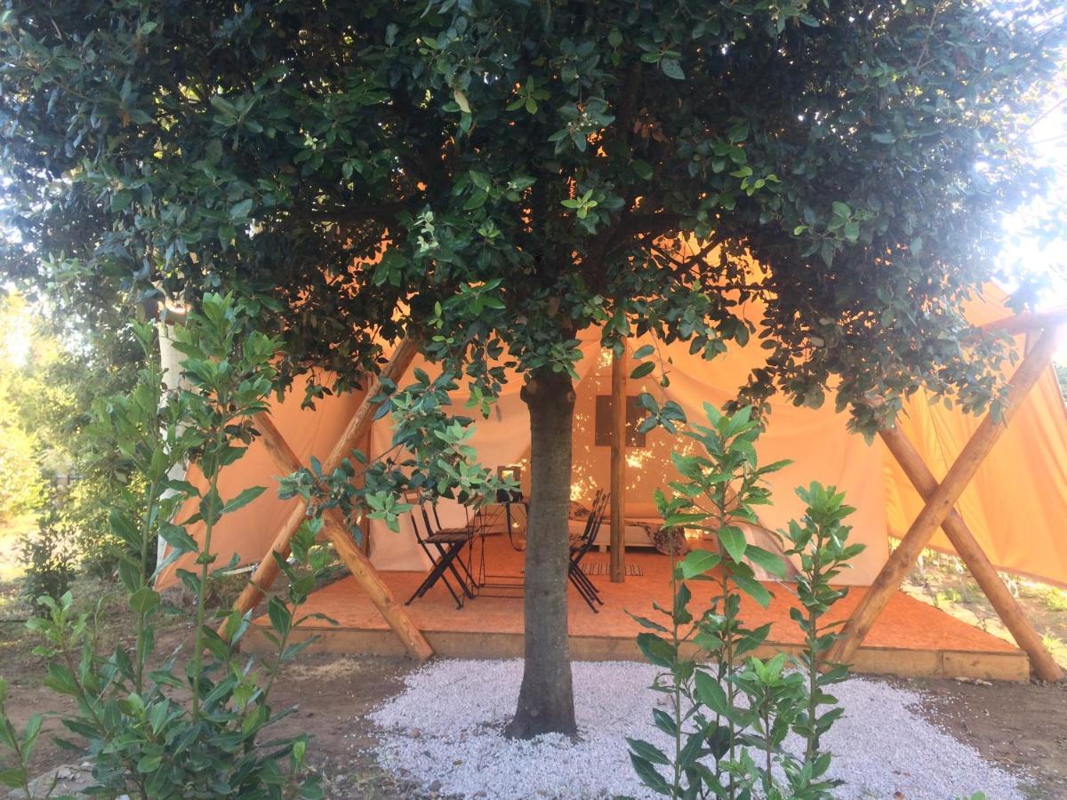 Bnatural Glamping Naturista/Nudista Baratti Exterior foto