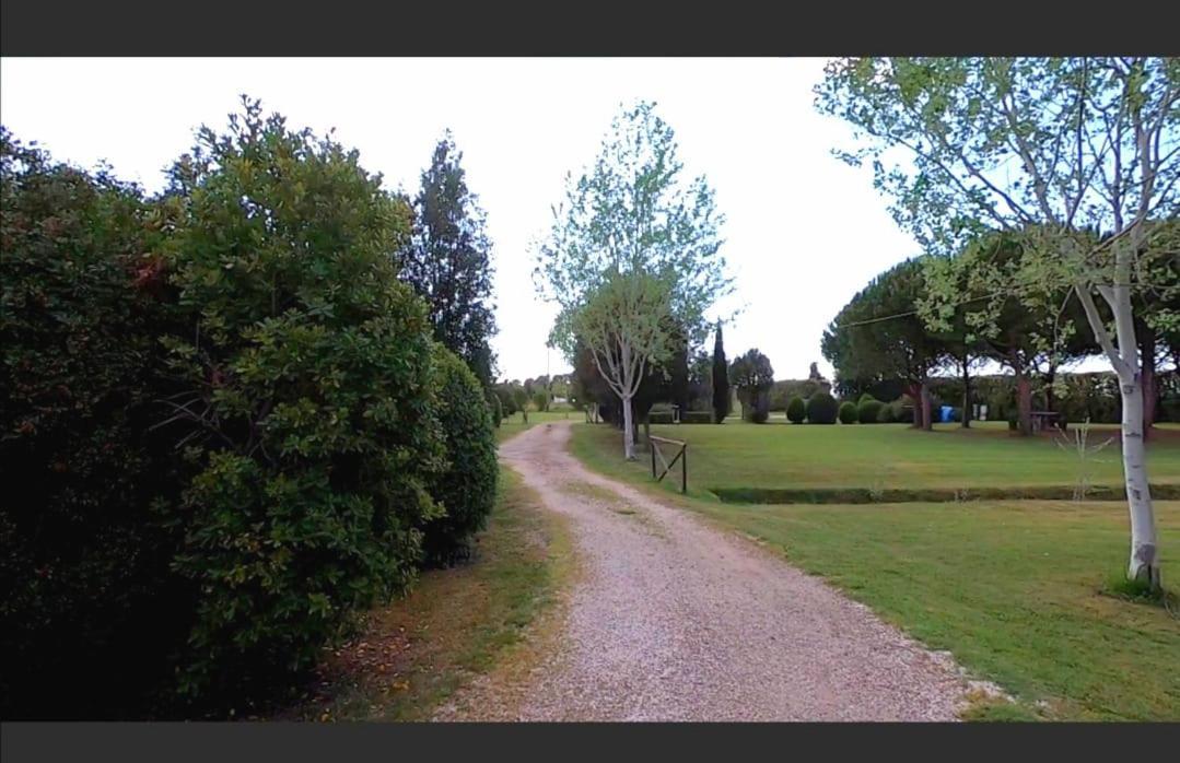 Bnatural Glamping Naturista/Nudista Baratti Exterior foto