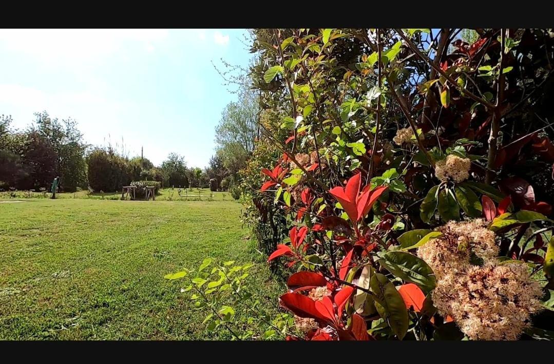 Bnatural Glamping Naturista/Nudista Baratti Exterior foto